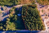 15696 m² apbūves zeme, Pakavi, Ūlupji