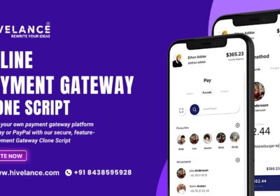 Payment-gateway-clone-script