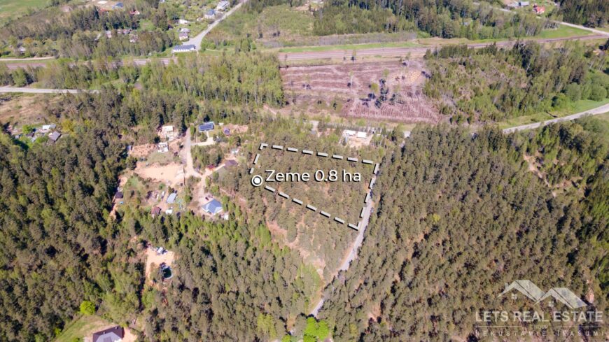 0.8 ha zeme, Zaķīši, Meža miers