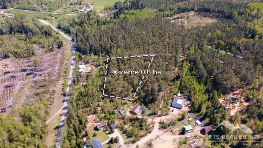 0.8 ha zeme, Zaķīši, Meža miers