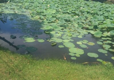 WhatsApp-Image-2025-10-17-at-13.32.52_1d468dce